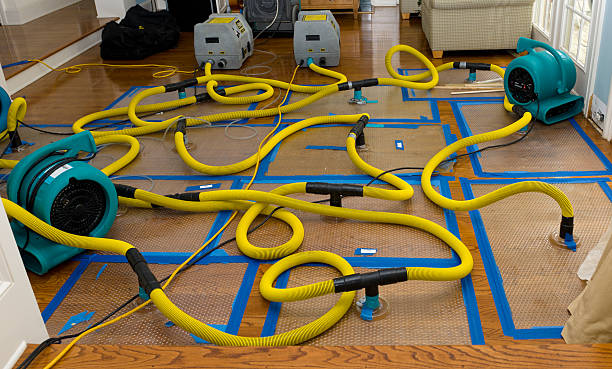 Professional Structural Drying And Dehumidification technician working in Lemoore, CA